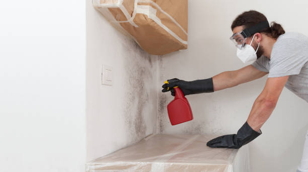 Professional Attic Mold Remediation technician working in Goldvein, VA