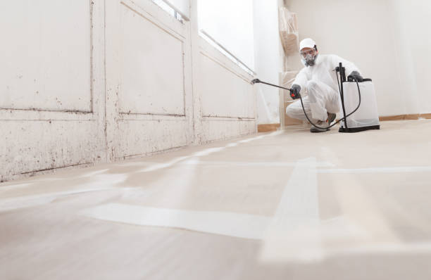 24/7 Emergency Attic Mold Remediation experts in Goldvein, VA