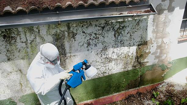 Top rated local Attic Mold Remediation specialists in Goldvein, VA